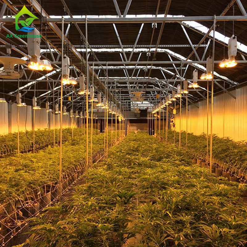 Blackout Flowerhouse Conservatory Greenhouse Agriculture 10x20 Light Dep Greenhouse
