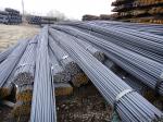 Grade 60 Stainless Steel Profiles Ss400 S355 HRB335 Deformed Steel Bar Hot
