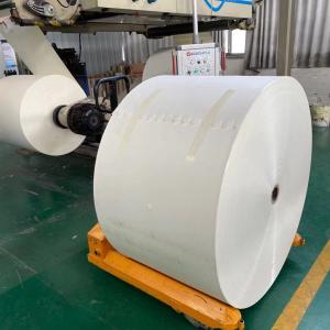 China 150gsm+15g PE Paper Roll 130cm Paper Tea Cup Raw Material wholesale