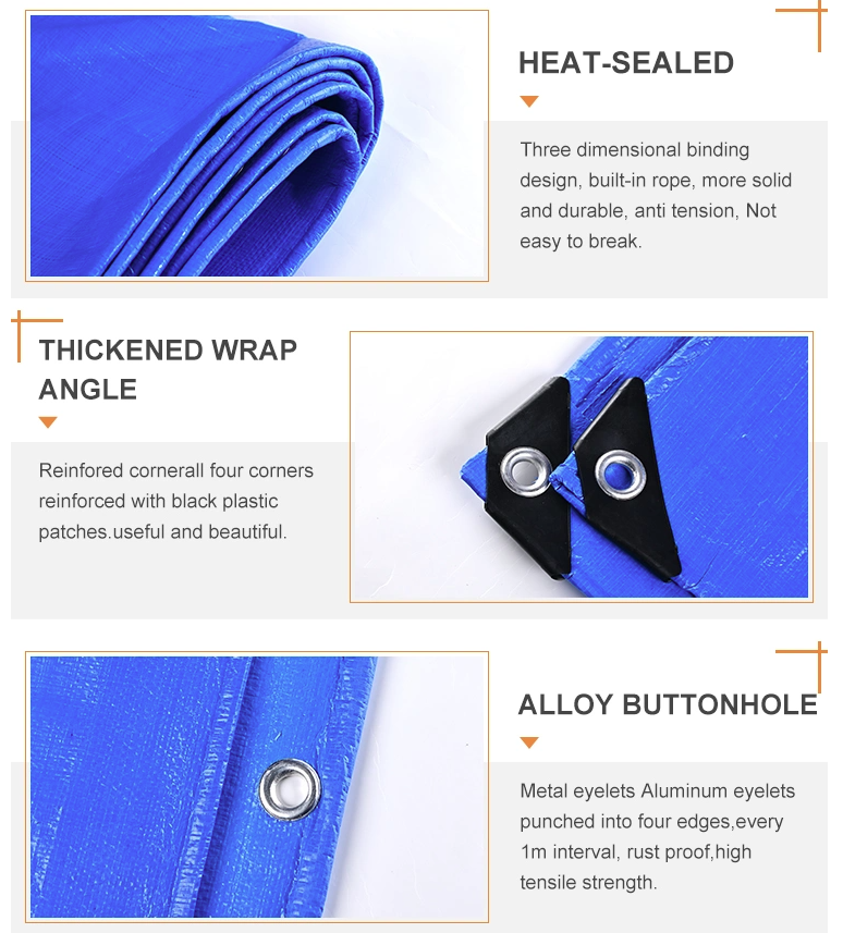 Coated PE Tarp Waterproof Light Weight Roof Cover Blue Polyethylene Tarpaulin Sheet PE