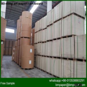 China 2015 new 250g C2S Art Paper and Art Board wholesale
