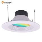 Rohs Cob Led Downlight 10w 12W