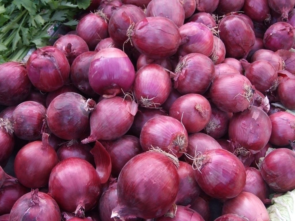 7cm Oval Rich Prostaglandin A Natural Fresh Onion