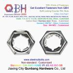 QBH DIN7967 M4-M52 Carbon Steel Stainless Steel Self-Locking Counter Nuts / PAL
