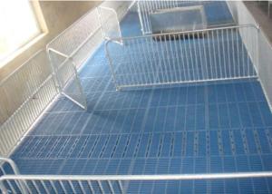 China Non - Slip Plastic Slat Flooring Pig Feeding Equipment Standard Openings wholesale