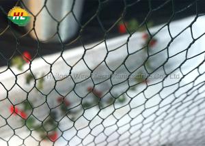 China 13.7x236 Inch Galvanised Chicken Wire Mesh 19 Gauge 22 Gauge wholesale