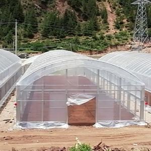 China Double Arches Double Film Agricultural Growing 10X50m Single Span Greenhouse wholesale