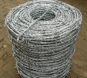 China BWG16xBWG16 Hot Dip Galvanized Barbed Wire Cattle Fence wholesale