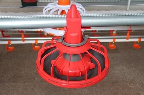 Drinking Automatic Chicken Feeding System For Chicken Poultry Farming Equipment