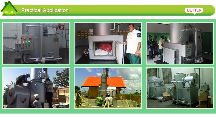 Provided Video Inspection Pyrolysis Gasification Waste Incinerator for Hospital Waste