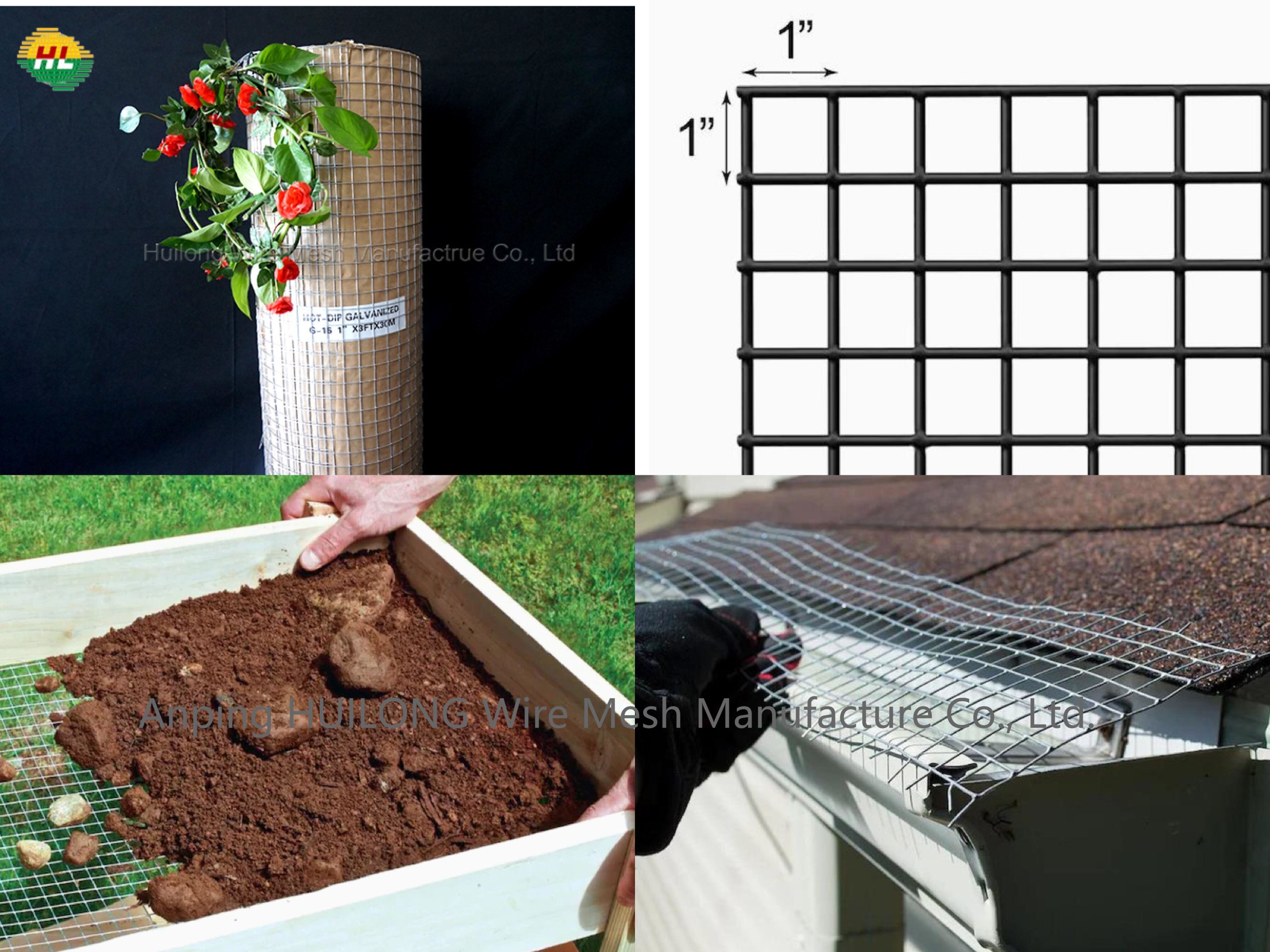 Galvanized Before Welding 1 inch x 1 inch 3ft x 19.5m 14Gauge Welded Wire Mesh Roll with Pallet for Home Garden Projects