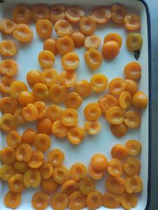 China GMO Cultivation Halves Canning Apricots Preserves In Water wholesale