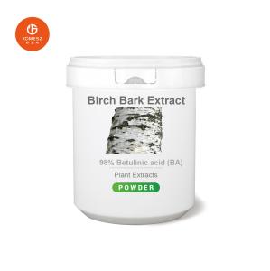 China Natural Pure Supplement Birch Bark Extract 98% Betulinic wholesale