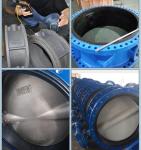 Worm Gear Actuated 150LB Flange Butterfly Valve