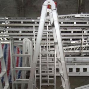 China Stainless Steel Telescopic Folding Ladder wholesale
