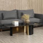 Satin Finish Tempered Glass Coffee Table Brushed Gold Rectangle Coffee Table
