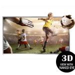 10.1" 4K 3D Monitor