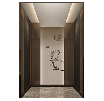 Small Hoistway Home Villa Elevator Lift 1 - 5m/s 450 - 1600Kg