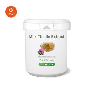 China Factory Supply 80% Silymarin 30% Silybin Isosilybin Milk Thistle Extract wholesale