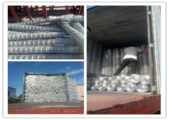 3x3 galvanized welded wire mesh