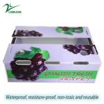 Polypropylene Fruit Corrugated Boxes Polyethylene Asparagus Box