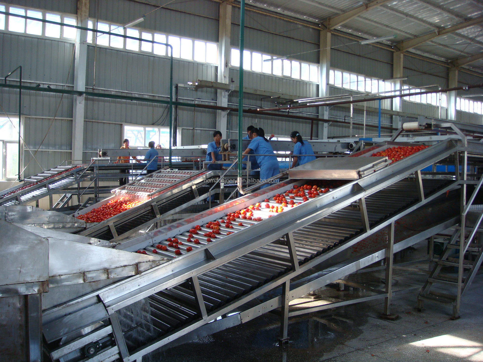 1T-1500T/D Tomato Paste Processing Line For Full Automatic And Tomato Sauce Production
