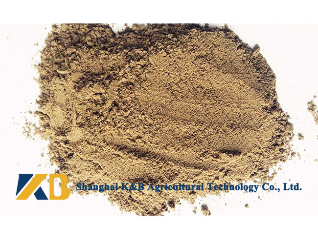 Half Fat High Protein Fish Meals Promote Animal Growth With Feed Grade