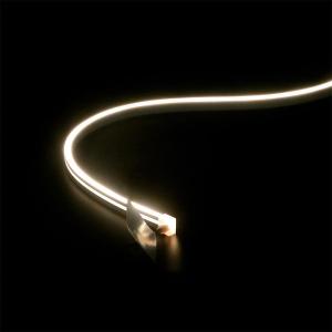 China 24V/12V.DC 10W Custom Flexible Neon Light Strip For Ceiling Room Decoration Cabinet Neon Lighting wholesale