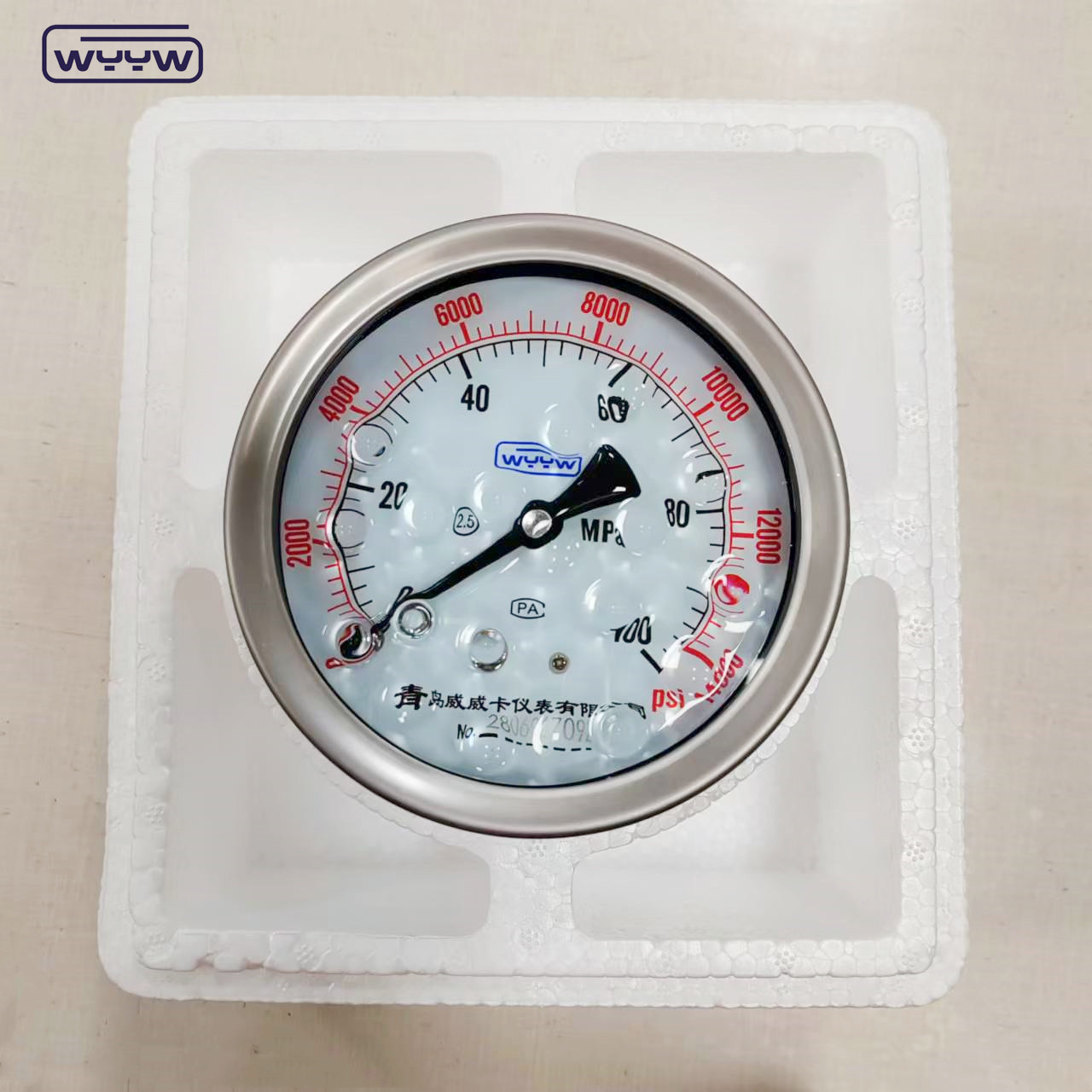 11 Years Producing Experience Pressure Gauge Manometer 0-100Mpa Pressure Range Bottom Back Mount