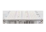 Higher Waterproof 120W 4000K UV Light Good For Plants