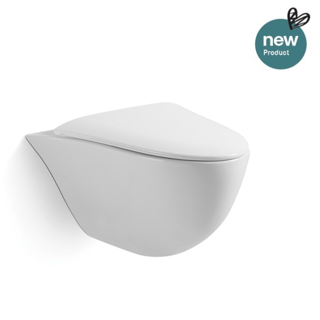 Special Shapes Wall Mounted Hidden Cistern Toilet Water Saving Single Hole