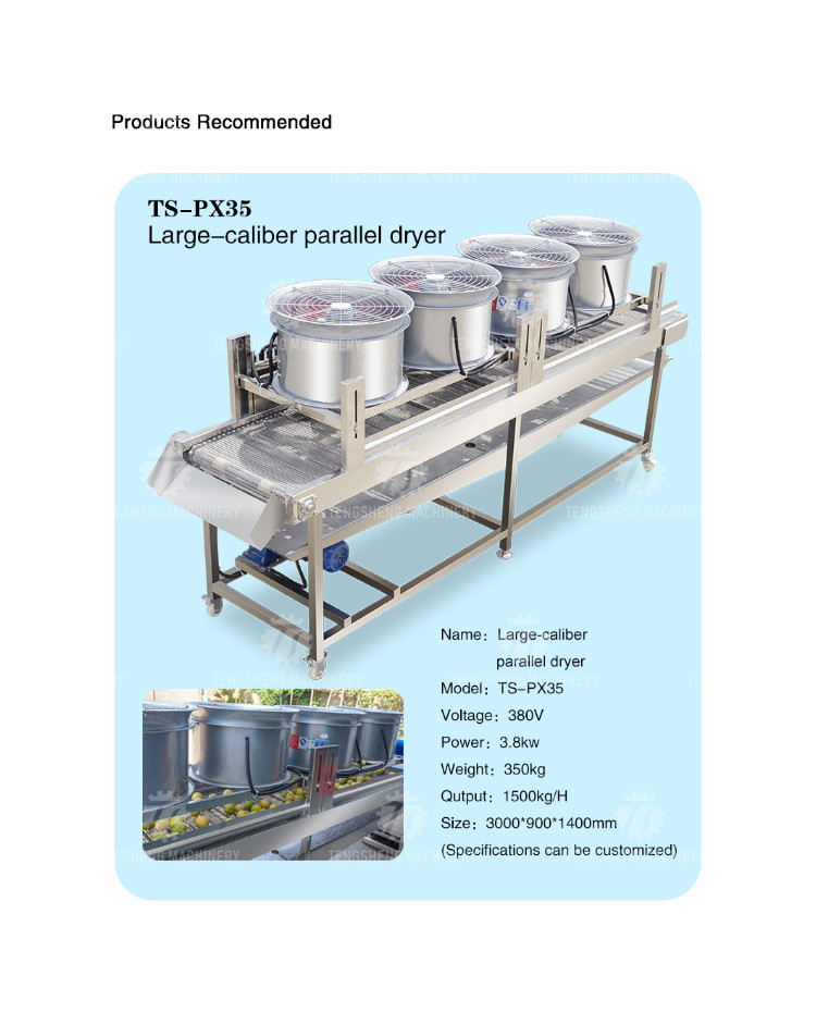 350KG 380V Vegetable air drying line fruit parallel air drying machine packaging air drying