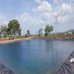 Hdpe Geomembrane Liner Geomembranas For Environmental Projects Waterproof