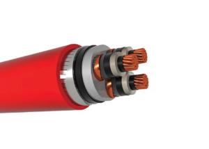 China PVC Outer Sheath Armoured Power Cable N2XSEYFGbY Armoured Electrical Cable wholesale