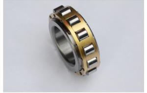 China RN205M Cylindrical Roller Bearing 25x46.5x15mm wholesale