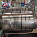 OEM Galvanized Steel Coil Dx51d Galvanized Steel Strip Zinc Coating