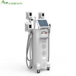 TUV Medical Ce / FDA Approved Professional 4 Cryo Handles Cryolipolysis Weight
