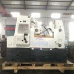 horizontal hobbing machine Standard Hydraulic Y3150E