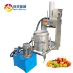 Food Beverage Shops 300L Commercial Hydraulic Stainless Steel Grape Wine Fruit