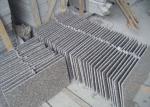 OEM Size Granite Modular Kitchen Tiles , Hotel Grey Granite Bathroom Tiles