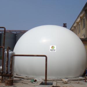 China N2O Small Biogas Plant Project Methane Biogas Storage Balloon wholesale