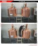 500 Litre Small Brewery Equipment , Brewpub Copper Beer Brewing Equipment