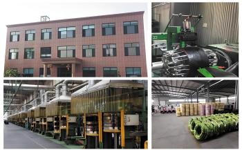 Chongqing Ruisi Laifu Tire Co., Ltd.