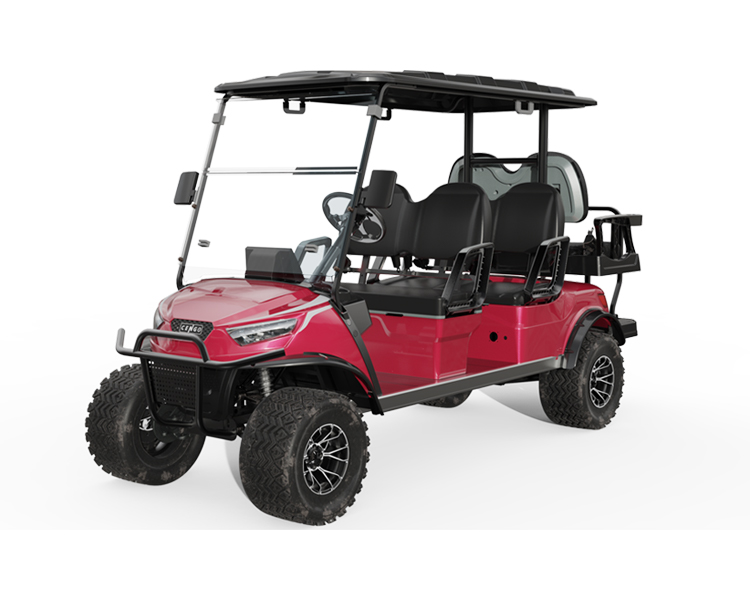 User-Friendly Electric Passenger Cars with Multiple Tire Sizes and Front Rear Disc Brake System