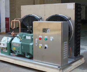 China R134a R407 Air Cooled Refrigeration Unit 3210W Freezer Room Condensing Unit wholesale