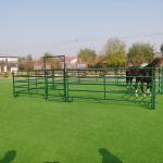 12FT Corral Fence