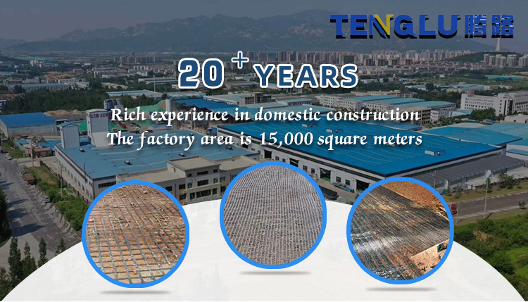 s Durable Steel Plastic Geogrids The Modern and Solution for Road Construction