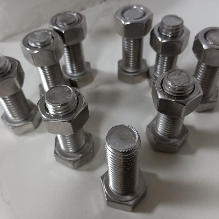 NXF DIN ISO UNI ASME Standard S32205 S31803 S32760 S32750 M6-M36 Duplex Stainless Steel fastener Hexagon Nut