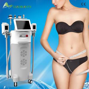 China Cryolipolysis Slim cryotherapy slimming beauty machine Freeze Fat dissolving machine wholesale