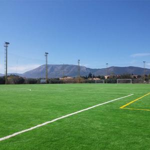 China High Standard Football Artificial Turf 45mm 150 Stitches/M Dark Green Artificial Grass Low Maintenance wholesale